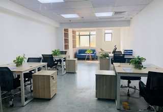 金山区苗圃绿植租赁设计